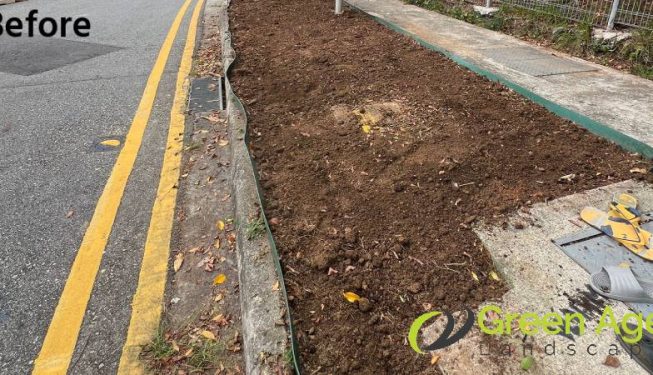 planting-services-greenage-landscaping-services-condo-tiong-bahru-2