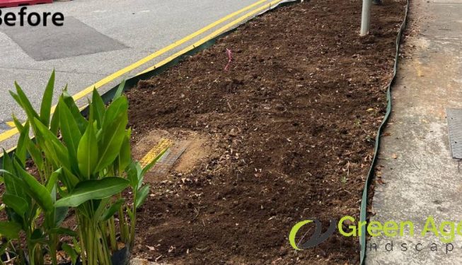 planting-services-greenage-landscaping-services-condo-tiong-bahru-3
