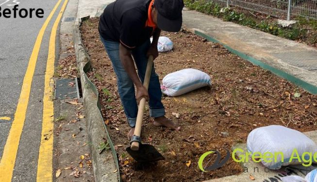 planting-services-greenage-landscaping-services-condo-tiong-bahru-4