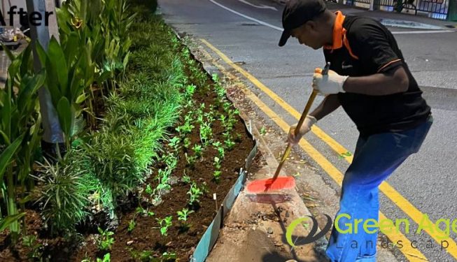 planting-services-greenage-landscaping-services-condo-tiong-bahru-6