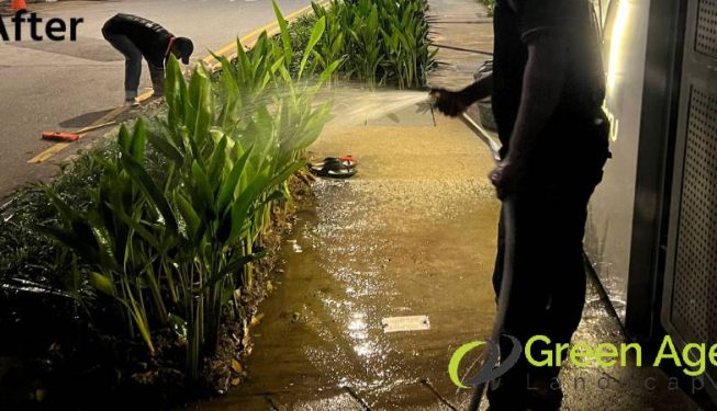 planting-services-greenage-landscaping-services-condo-tiong-bahru-7