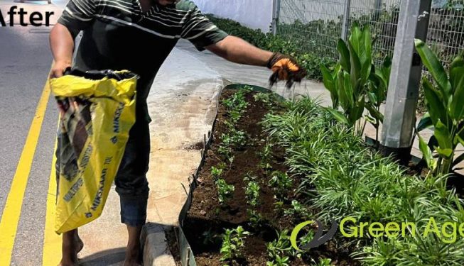 planting-services-greenage-landscaping-services-condo-tiong-bahru-8