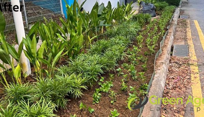 planting-services-greenage-landscaping-services-condo-tiong-bahru-9