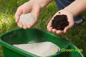 Cow Grass Fertilization Guide: 4 Essential Tips for Singapore Homeowners 3 types-of-fertilizers-cow-grass-fertilization-guide-4-essential-tips-for-singapore-homeowners-cow-grass-greenage-landscaping-services-singapore