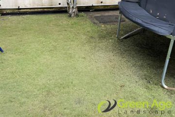 grass-cutting-services-greenage-landscaping-services-singapore-landed-tampines-1