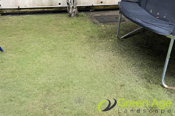 grass-cutting-services-greenage-landscaping-services-singapore-landed-tampines-1