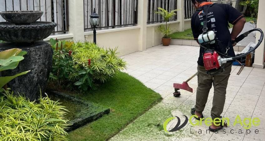 featured-garden-maintenance-greenage-landscaping-services-singapore-landed-joo-chiat-terrace