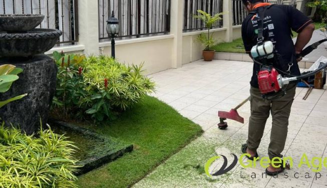 garden-maintenance-greenage-landscaping-services-singapore-landed-joo-chiat-terrace-2