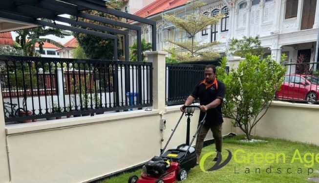 garden-maintenance-greenage-landscaping-services-singapore-landed-joo-chiat-terrace-3